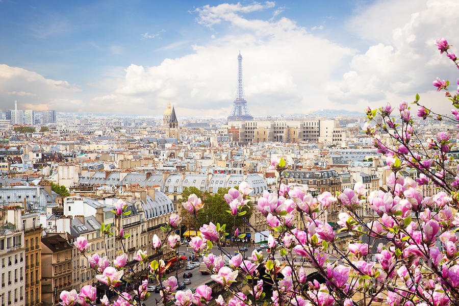 skyline of Paris with eiffel tower Photograph by Anastasy Yarmolovich
