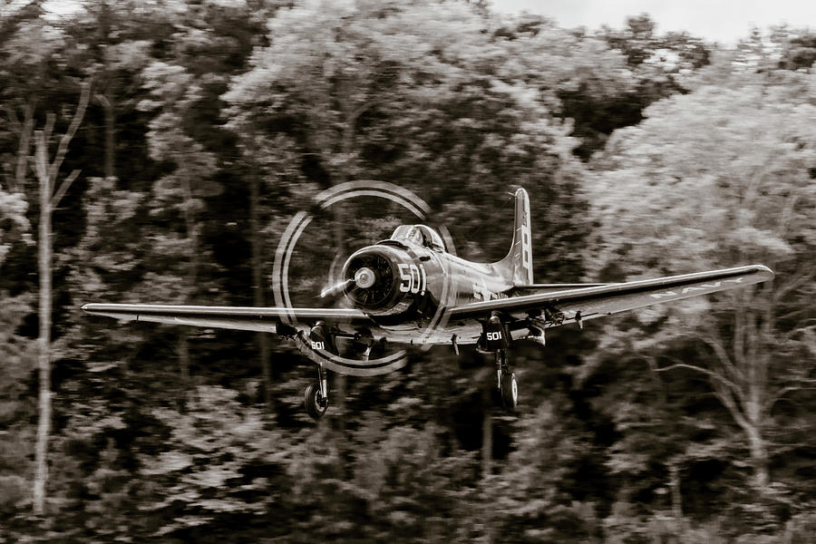 Skyraider Black and White by Liza Eckardt Skyraider Black and White by Liza Eckardt