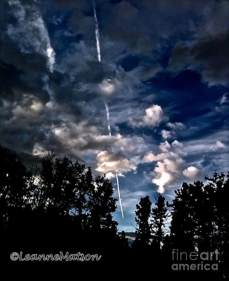 Tree Photograph - SkyScape  by Leanne Matson