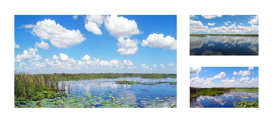 Skyscape Reflections Blue Cypress Marsh Collage 2 Photograph by Ricardos Creations