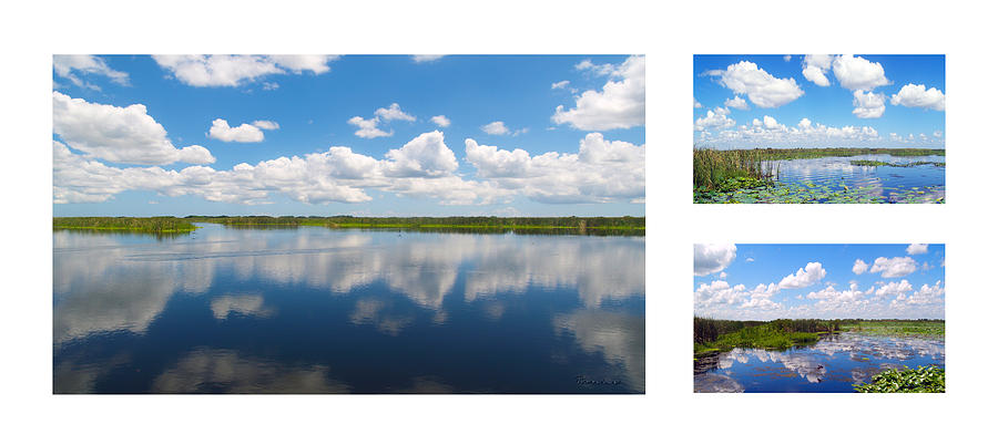 Skyscape Reflections Blue Cypress Marsh Florida Collage 3 Photograph by Ricardos Creations