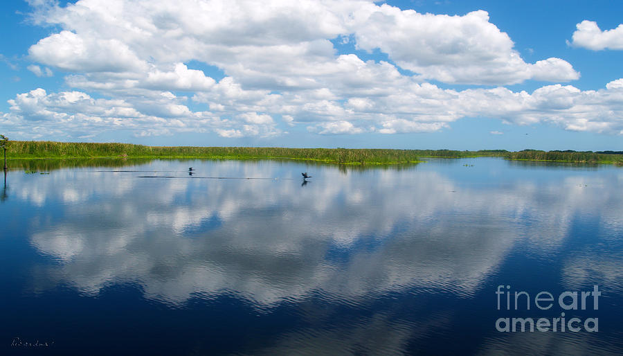 Skyscape Reflections Blue Cypress Marsh Conservation Area Florida C1 Photograph by Ricardos Creations