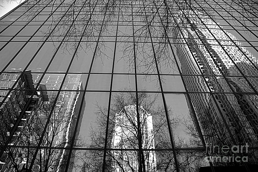 Skyscraper in Black and White Photograph by Shelia Kempf