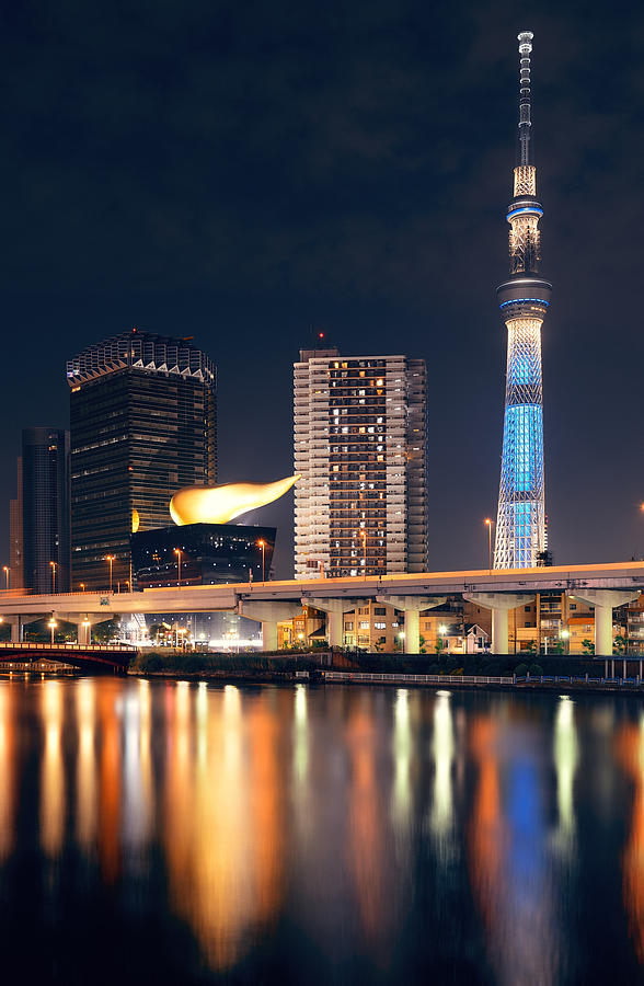 Skytree Photograph by Songquan Deng