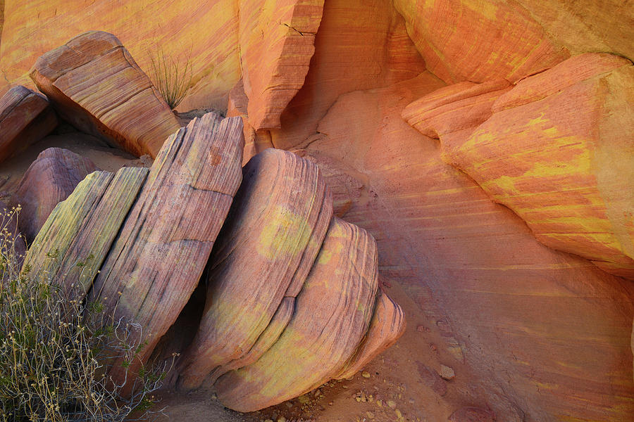 Slabs of Color in Valley of Fire Photograph by Ray Mathis