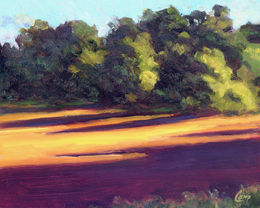 Slanting Shadows Painting by Michael Camp