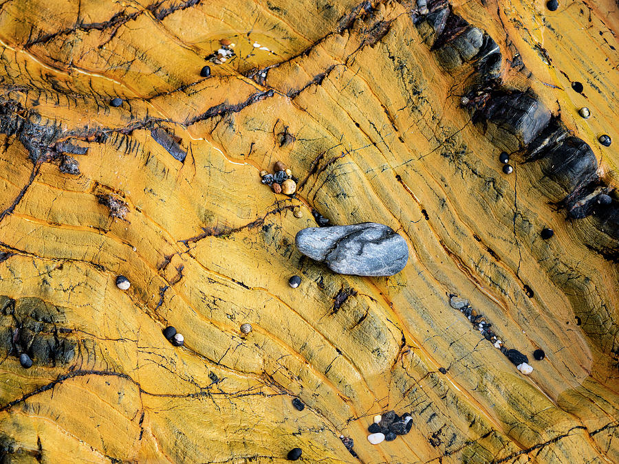 Slate Cobble on Rock Photograph by Steven Ralser
