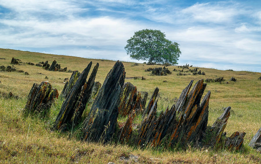 Slate Filled Meadow Photograph by Harold Coleman