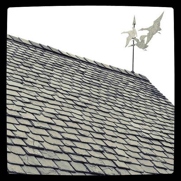 Black And White Photograph - slate roof and weather vane in BW by Justin Connor