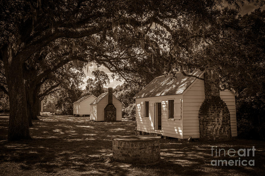 Slave Cabins on the Grounds of McLeod Plantation Photograph by Dale Powell