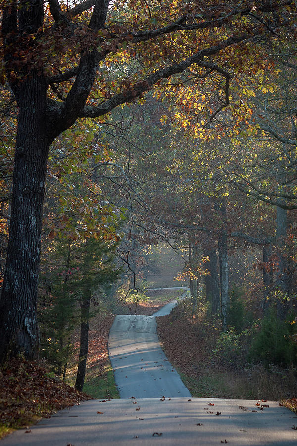 Slave Cave Road, Opossum Hollow, Kentucky Photograph by David Barile
