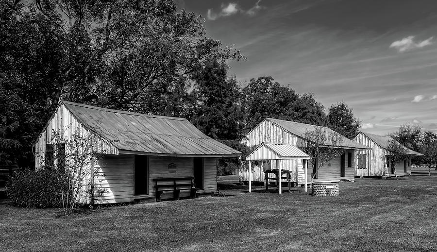 Slave Quarters At Frogmore Plantation Bw Photograph By Frank J Benz
