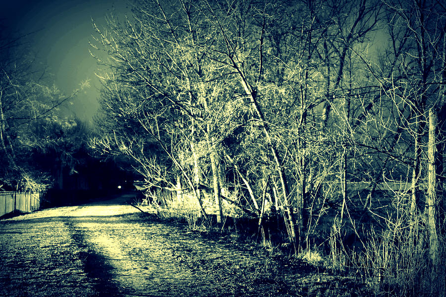 Night Photograph - Sleep Walk by Michael Draper