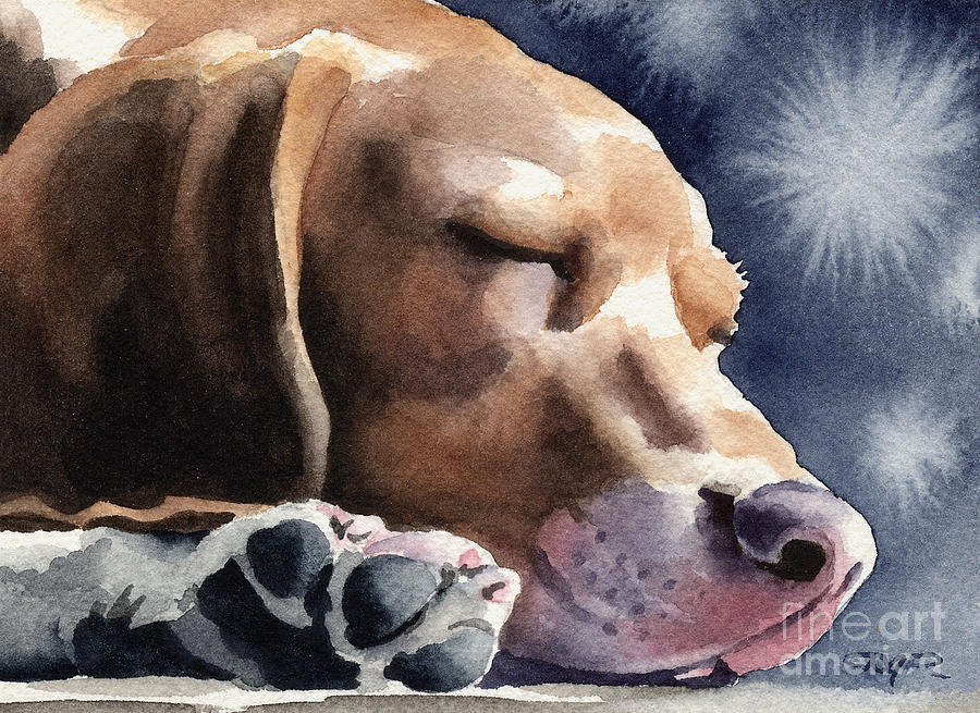 Dog Painting - Sleeping Beagle by David Rogers