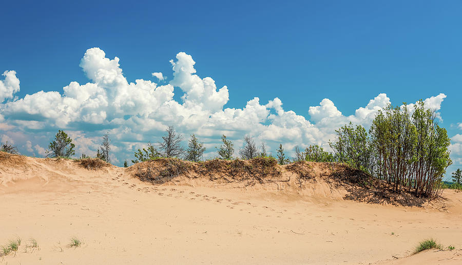 Sleeping Bear Sand Dune Footprints by Dan Sproul Sleeping Bear Sand Dune Footprints by Dan Sproul