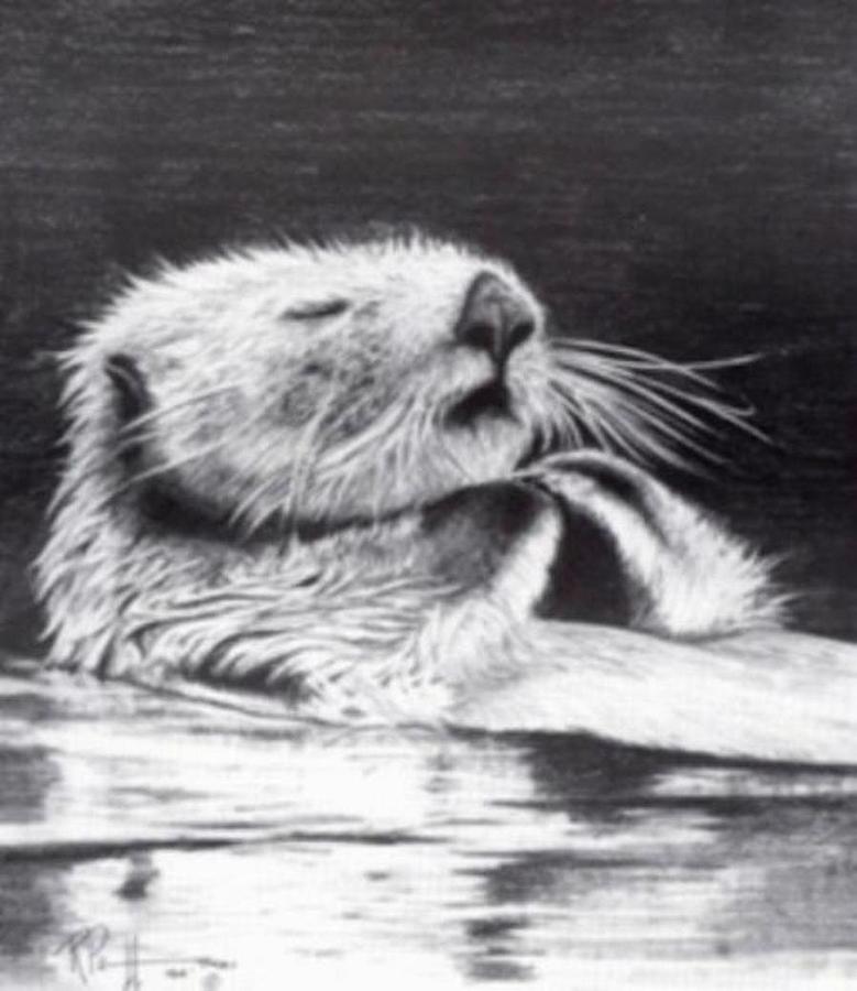 Wildlife Painting - Sleeping Beauty Sea Otter by Bob Patterson