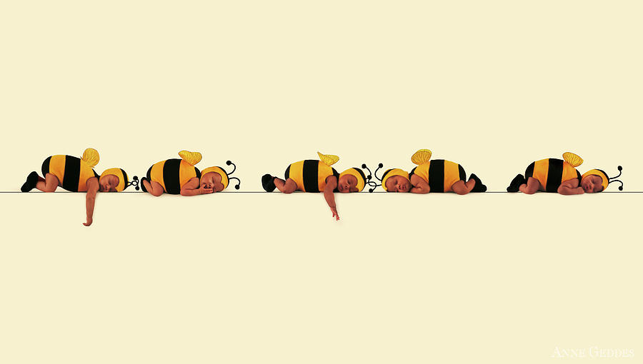 Bees Photograph - Sleeping Bees by Anne Geddes