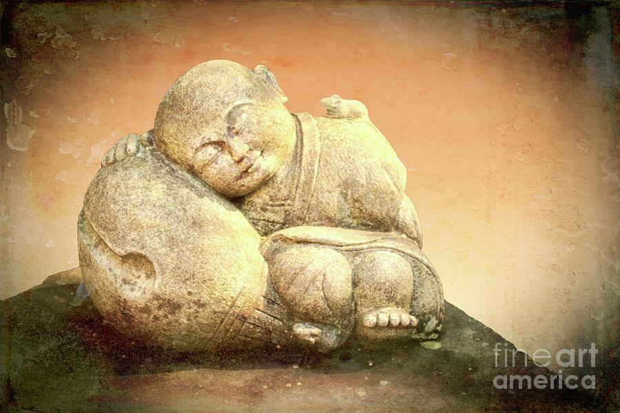 Sleeping Buddha Photograph by Lynn Bolt