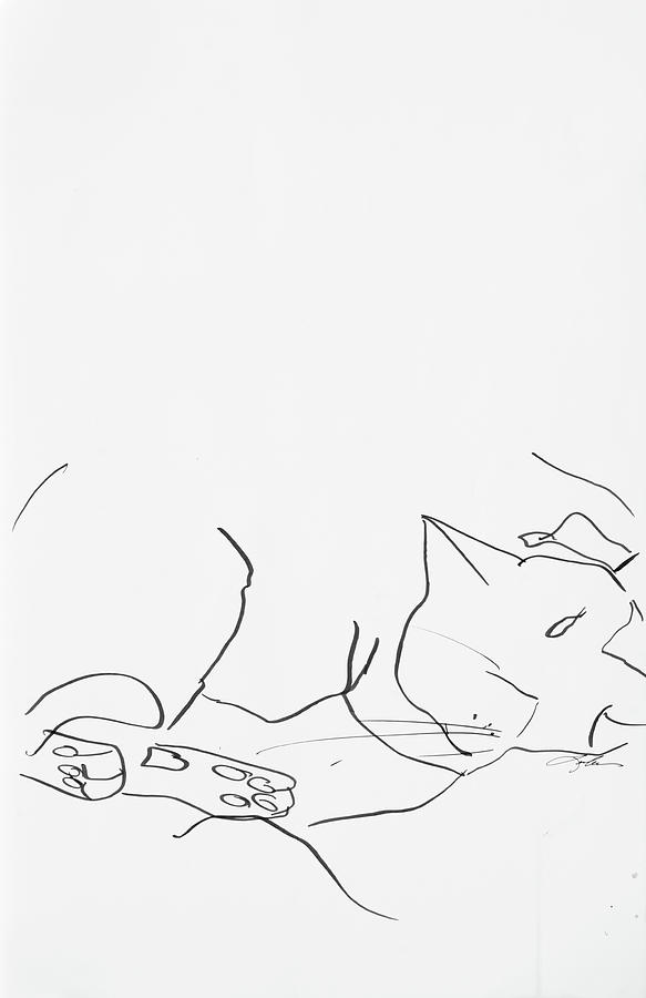 Sleeping Cat II Drawing by Leela Payne