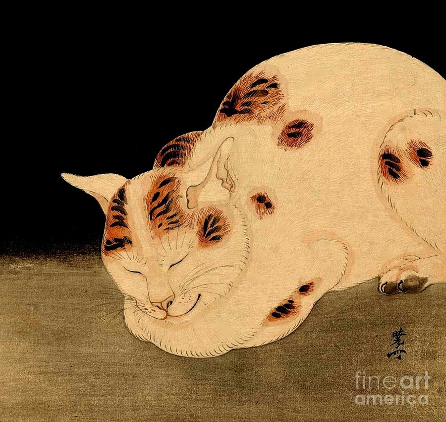 Sleeping Cat Kawanabe Kyosai Japanese Meiji Period Painting by Peter Ogden