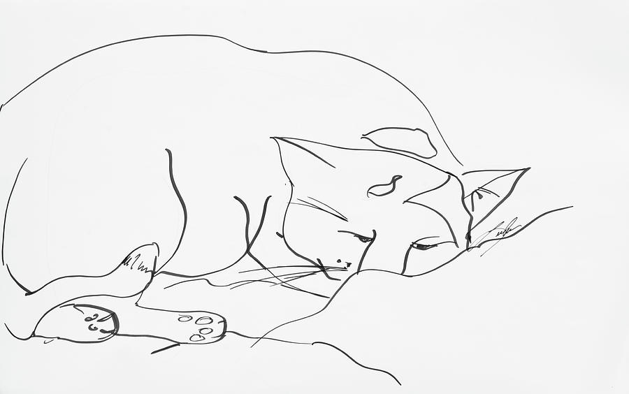 Sleeping Cat Drawing by Leela Payne