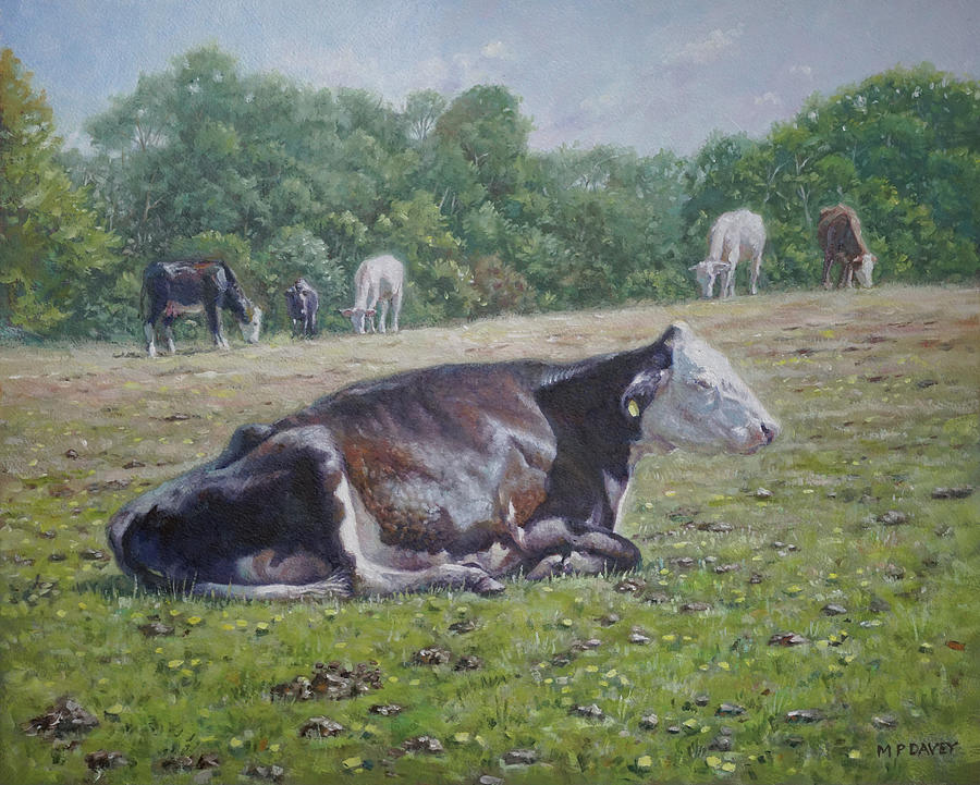 Cow Painting - Sleeping cow on grass on sunny day by Martin Davey