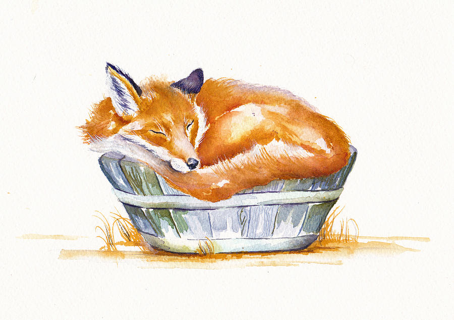 Sleeping Fox Painting by Debra Hall