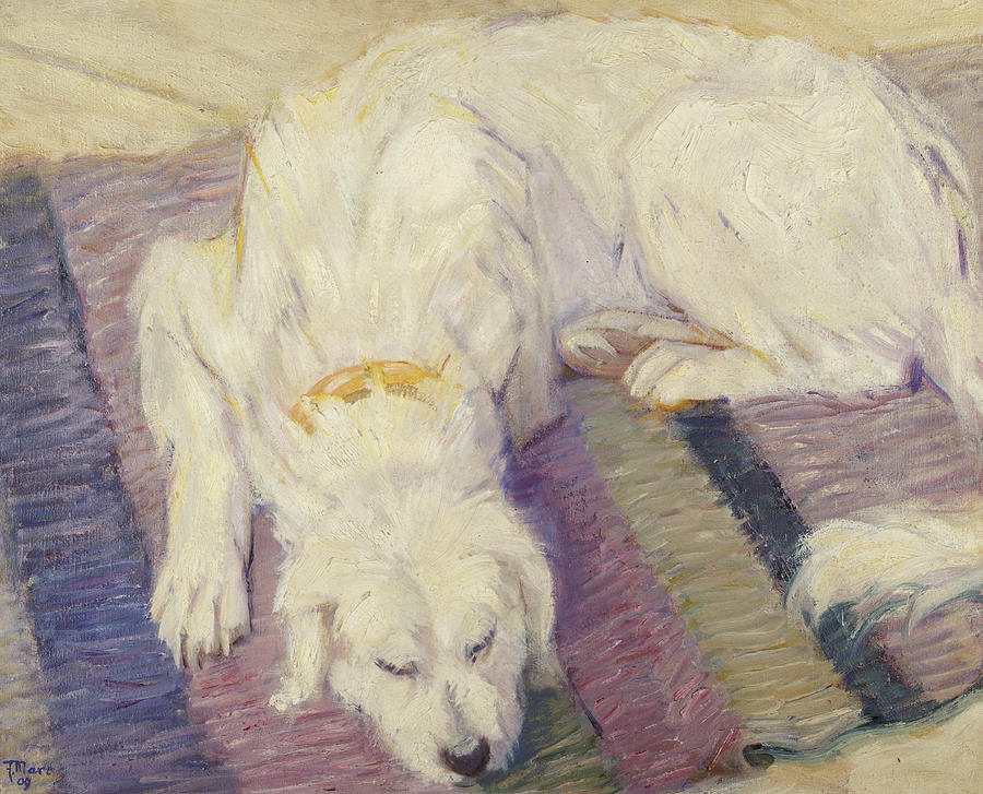 Franz Marc Painting - Sleeping Dog by Franz Marc