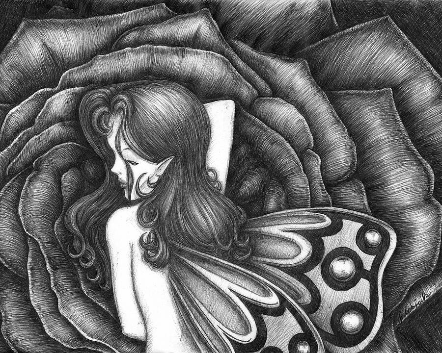 Fairy Drawing - Sleeping Fairy by Jason Wojcik