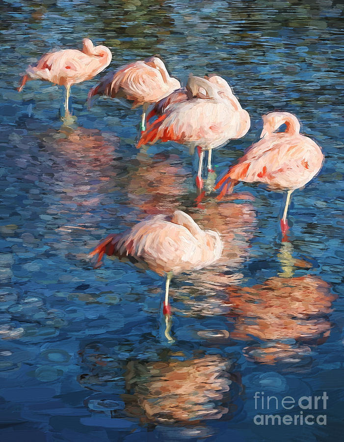 Sleeping Flamingos in water digitally painted photo Photograph by Clare VanderVeen