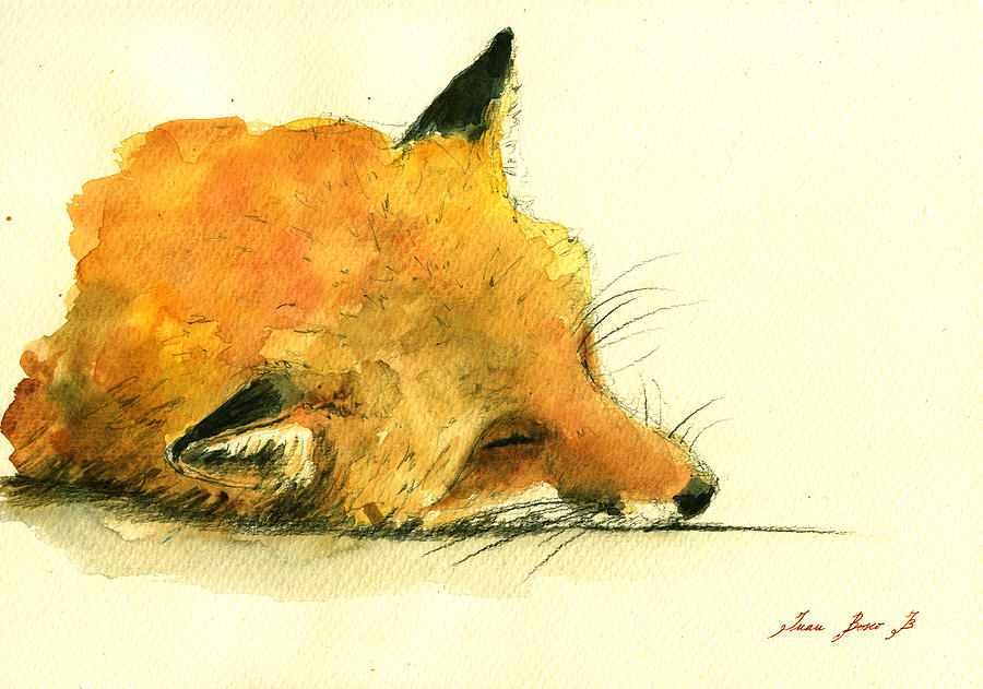 Fox Nursery Painting - Sleeping fox by Juan  Bosco
