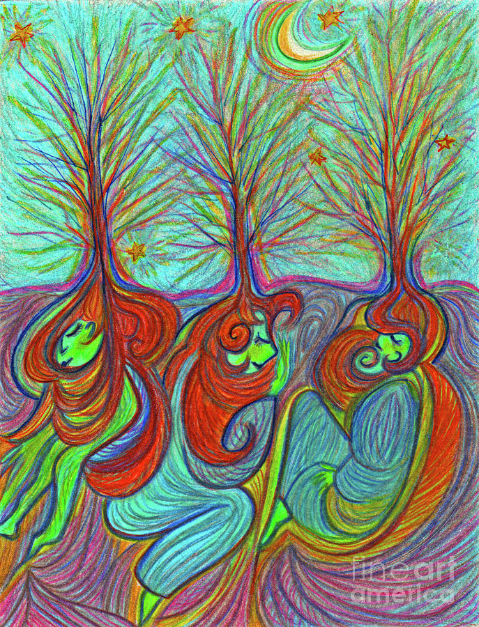 Sleeping Grove by jrr Drawing by First Star Art