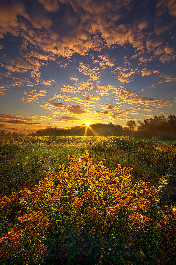 Sleeping In Dreams Photograph by Phil Koch