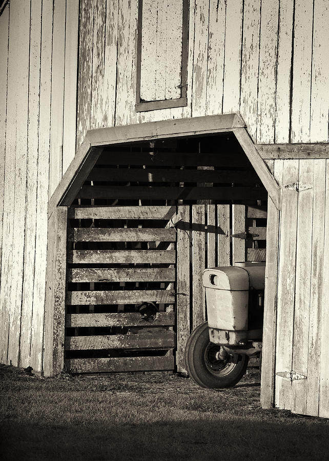 Farm Photograph - Sleeping In by Patrick Lynch