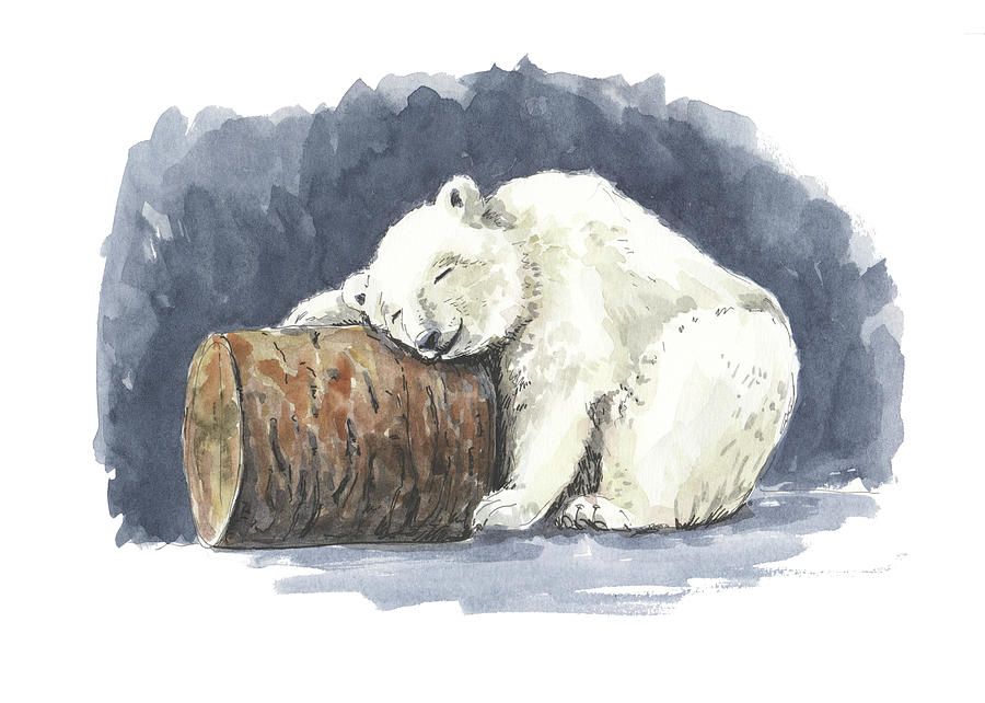 Nature Mixed Media - Sleeping polar bear, watercolor art by Katerina Kirilova