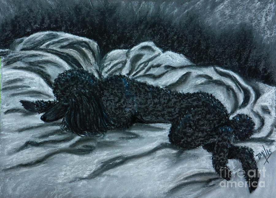 Sleeping Poodle Painting by Terri Mills