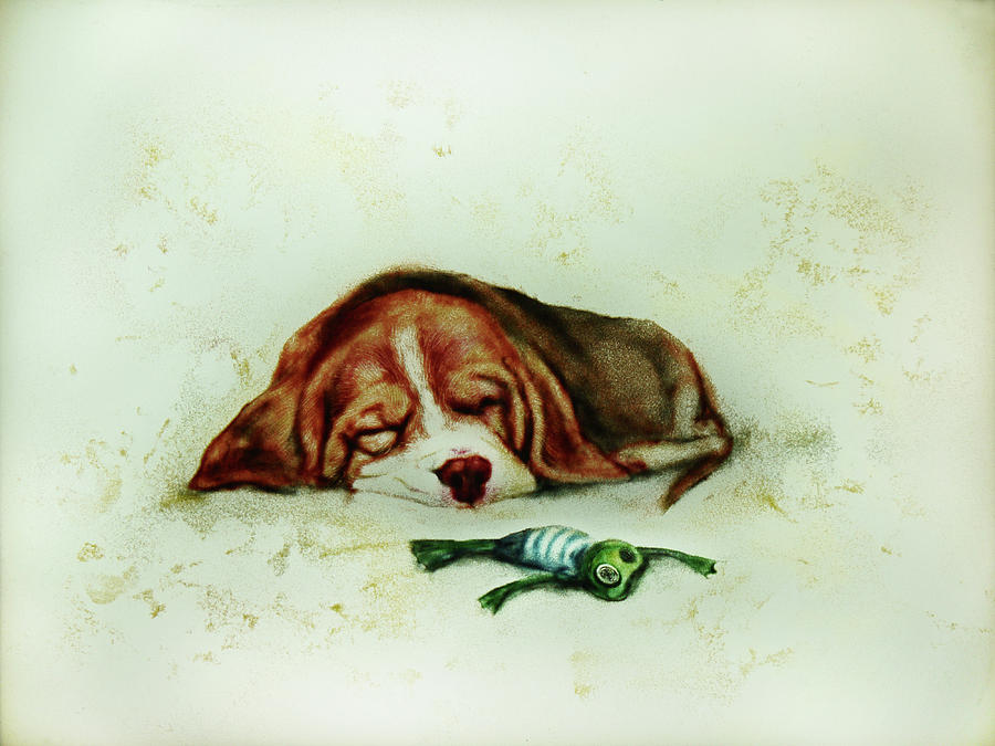 Sleeping Puppy and Sleeping Froggy Drawing by Elena Vedernikova