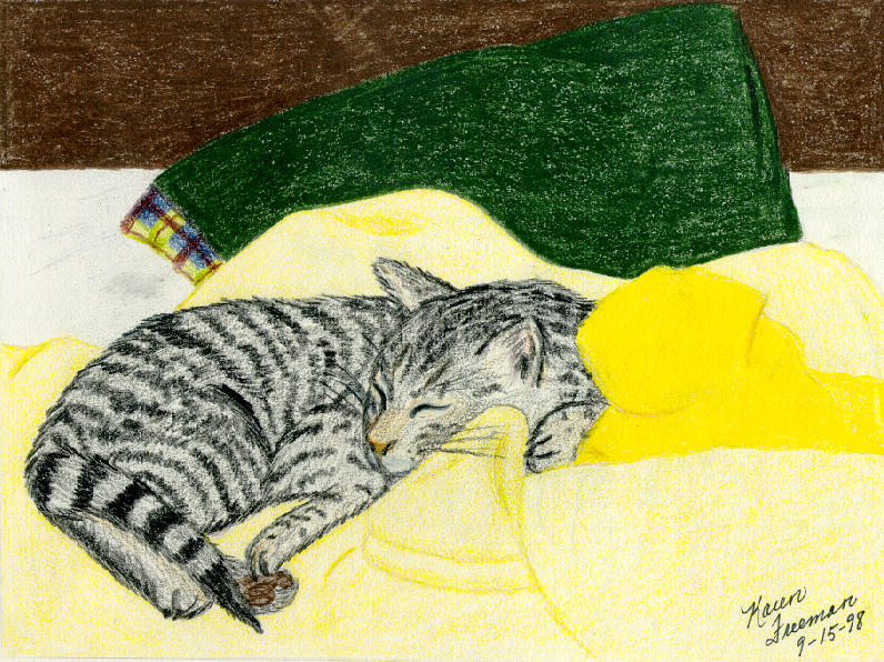 Cat Drawing - Sleeping Rambo by Karen Freeman