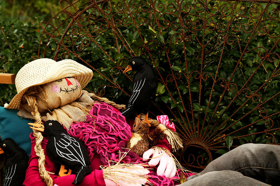 Sleeping Scarecrow Photograph by Judy Vincent