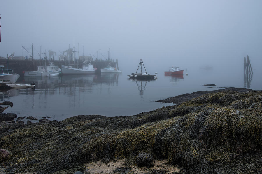 Sleeping Sea Fog  Photograph by Tony Pushard