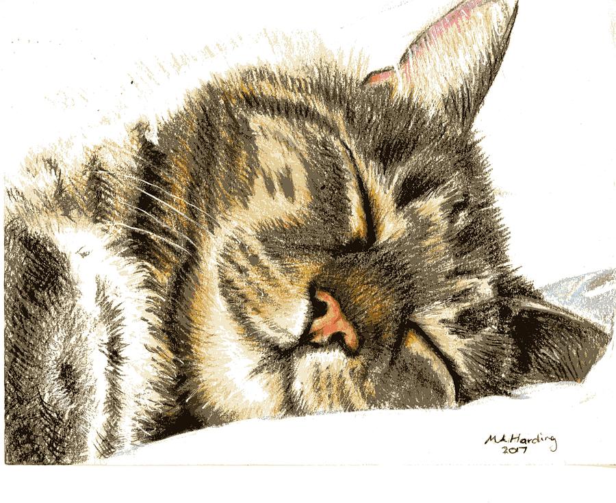 Sleeping Tabby Cat Drawing by MaryAnne Harding