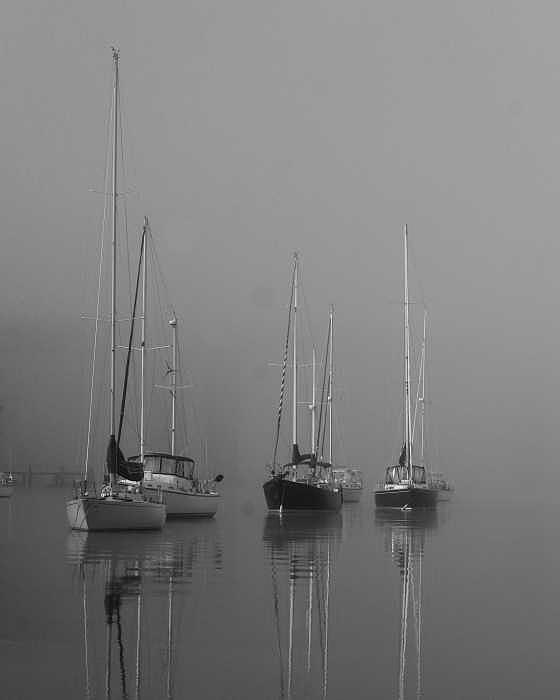 Boat Photograph - Sleeping Yachts by Arthur Sa Boat Photograph - Sleeping Yachts by Arthur Sa