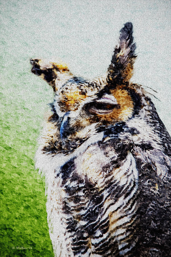 Sleepy Great Horned Owl - Paint FX Photograph by Brian Wallace