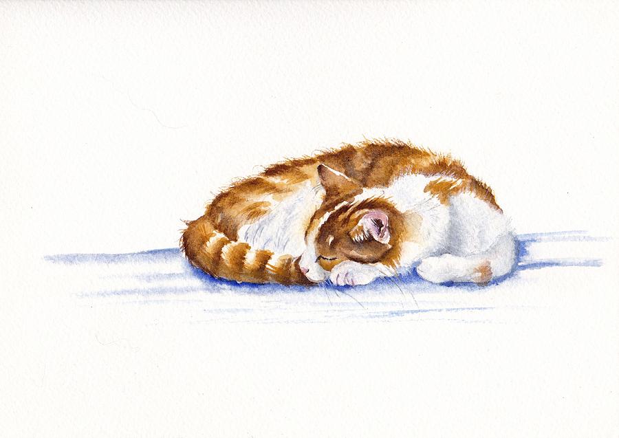Cat Painting - Sleepy Head by Debra Hall
