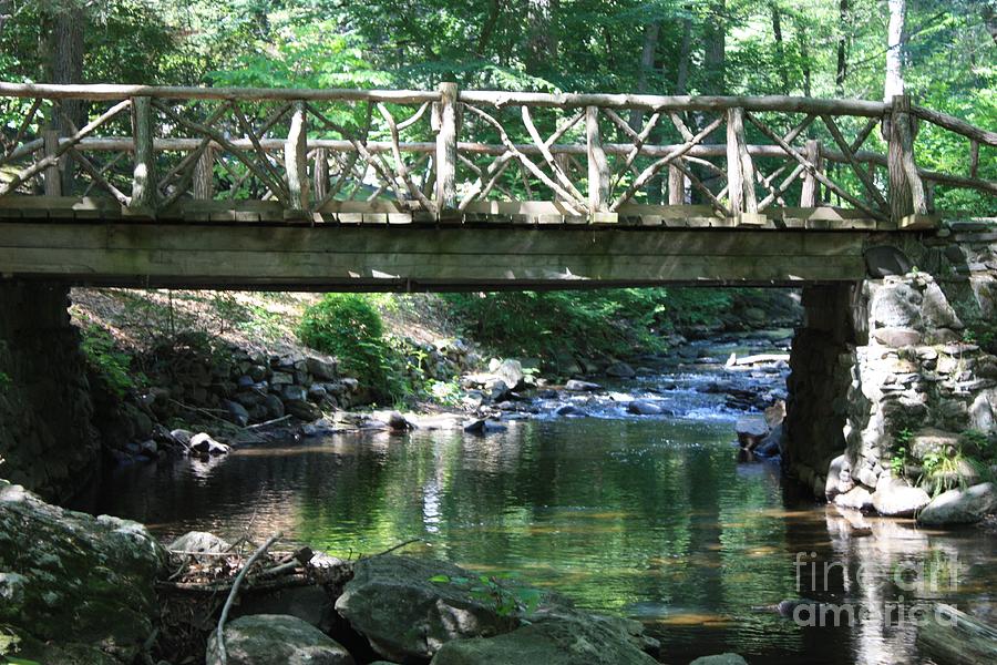 Tree Photograph - Sleepy Hollow Bridge And Stream by John Telfer