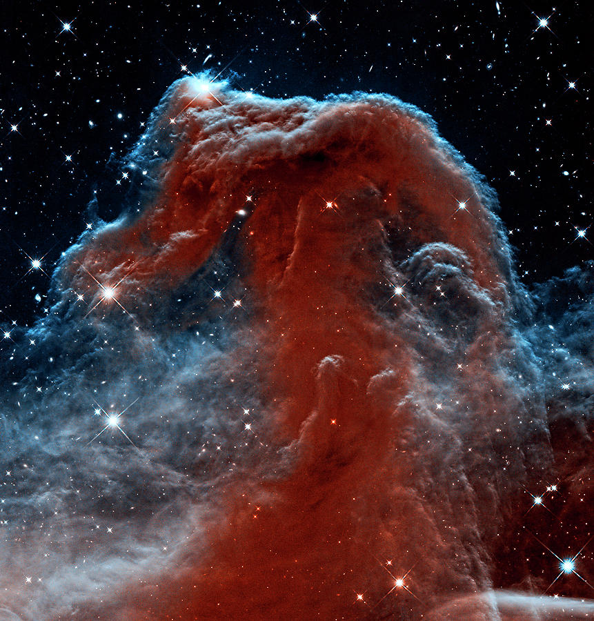 Sleepy Hollow - Horsehead Nebula Photograph by Weston Westmoreland
