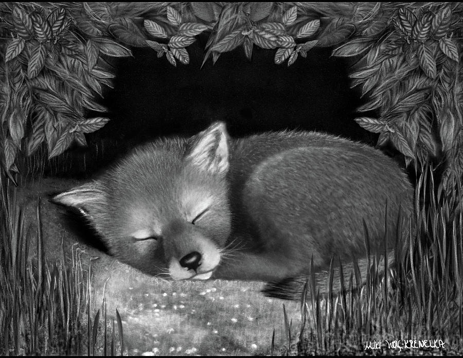 Wildlife Drawing - Sleepy Hollow by Miki Krenelka