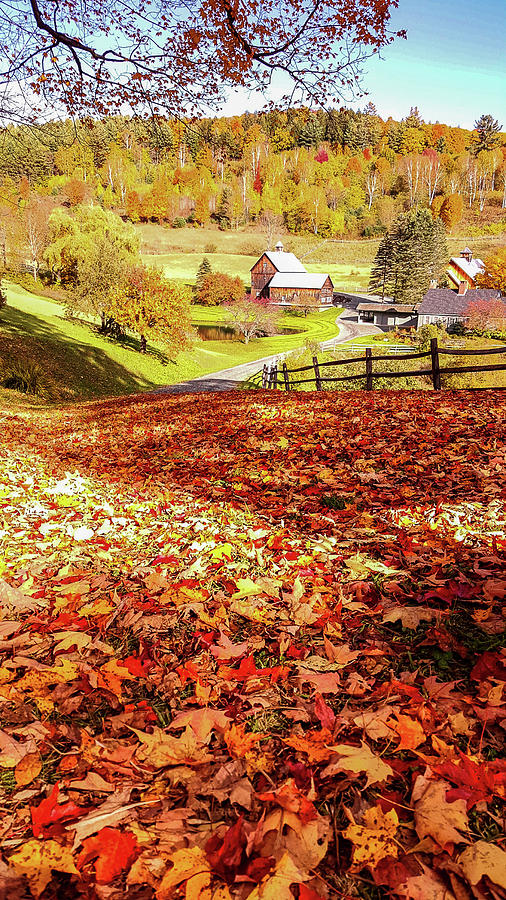 New England Autumn Photograph - Sleepy Hollow - Pomfret Vermont-1 by Jeff Folger