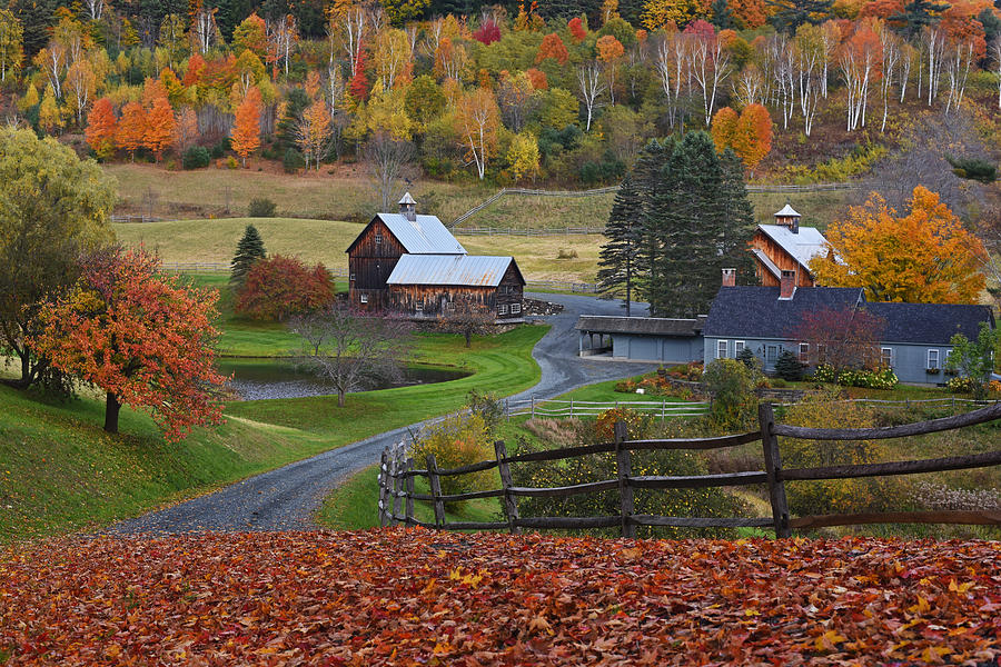 Sleepy Hollows Farm Woodstock Vermont VT Autumn Photograph by Toby McGuire