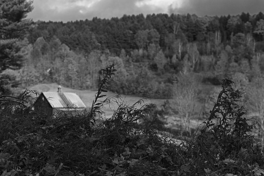 Sleepy Hollows Farm Woodstock Vermont VT Pond Shack Foliage Black and White Photograph by Toby McGuire